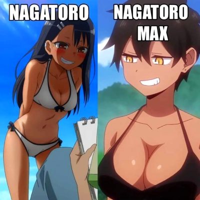 Correction: Nagatoro Pro Max