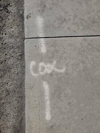 Sick Of Seeing All This Obscene Street Graffiti Everytime I Try To Take A Walk.