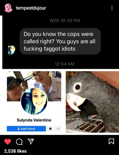 Update Tempest’s Bird Situation: Cops Are Called And She Is Homophobic Too