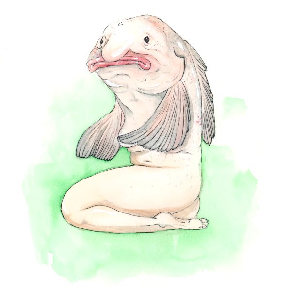 a-few-days-ago-i-posted-a-reverse-mermaid-and-asked-for-suggestions-many-suggested-that-i-do-a-blobfish-so-here-it-is-i-am-so-sorry_001