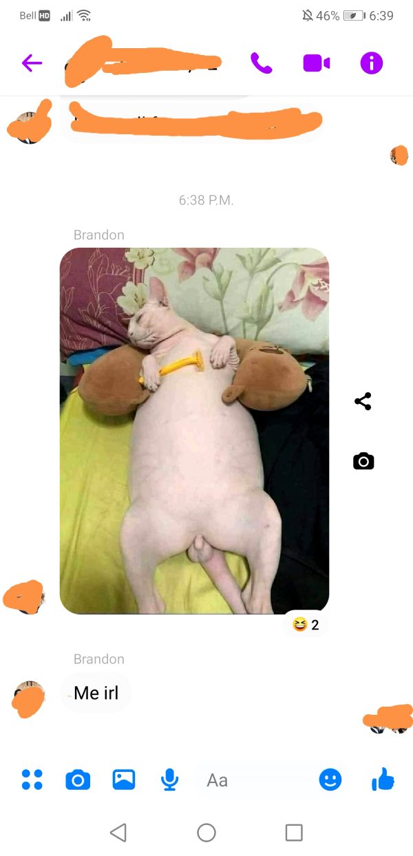 my-buddy-roasted-himself-in-the-groupchat_001