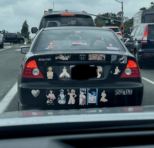 my-friend-was-driving-behind-this-car-with-her-two-small-children_001