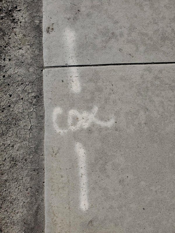 sick-of-seeing-all-this-obscene-street-graffiti-everytime-i-try-to-take-a-walk_001
