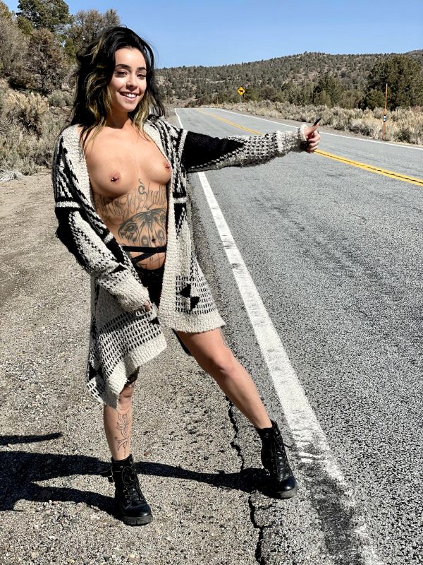 would-you-let-me-hitchhike_001